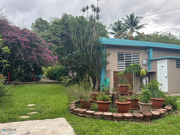3rd image of 58.2 Int Hato Puerco Arriba Br #149