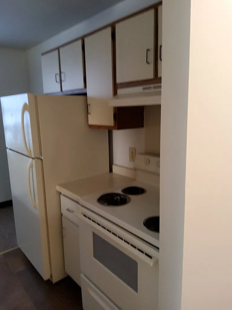 1 bed, $330 — Photo 3
