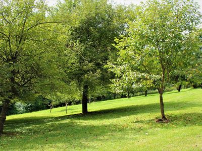 9999 McFadden Ln, London, KY, 40741