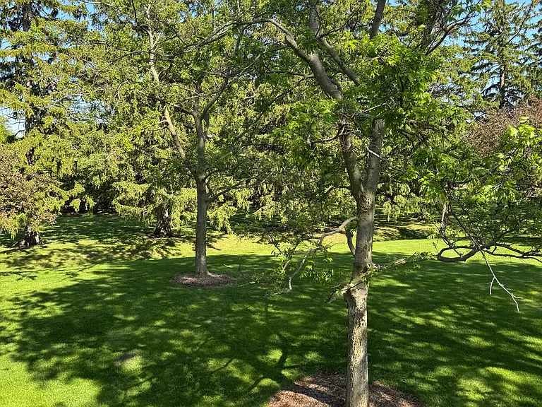 2513 Live Oak Ln — Photo 23