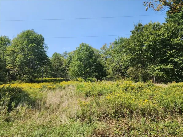 231 County Road 92, Roscoe, NY 12776