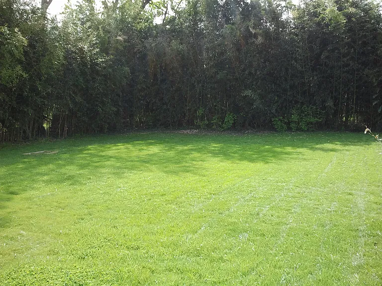 Large peaceful yard, 0.8 miles from Ballston metro
