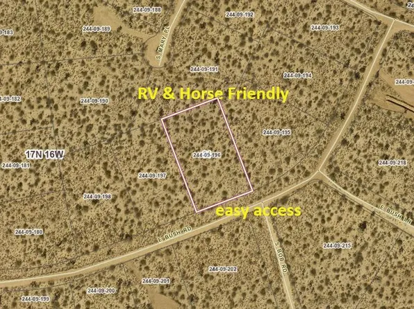244-09-196 E Bush Rd, Yucca, AZ 86438