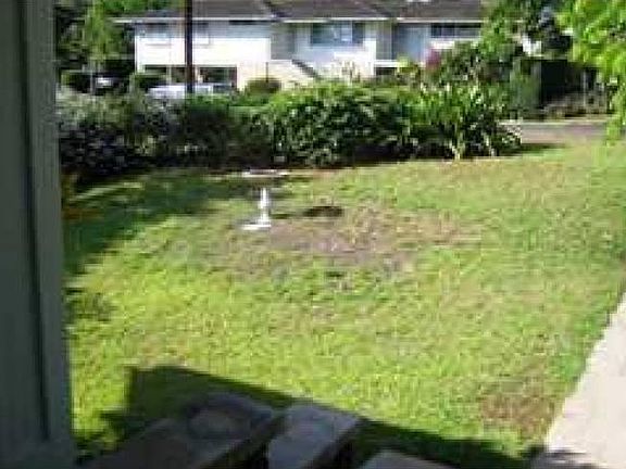 Front lawn
