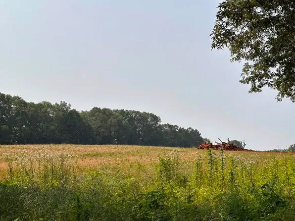 TRACT 63 Hays Mill Rd, Elkmont, AL 35620