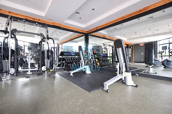 Rented by null | media 40