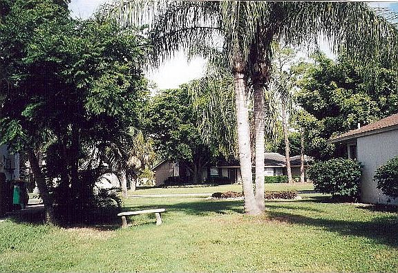 Room to build a pool.