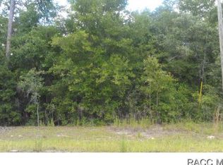 10965 N Mataro Ave, Citrus Springs, FL 34434