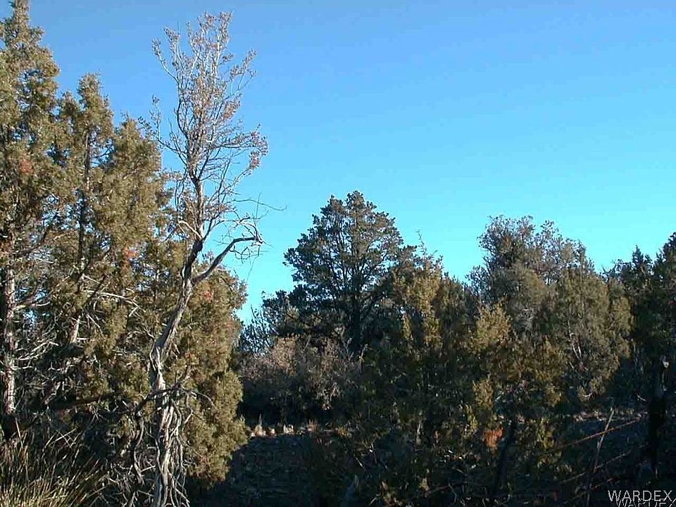 2nd image of 160 Acre Cross Mountain