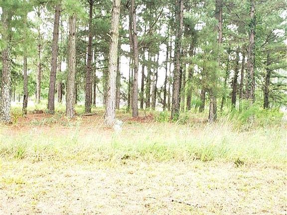 5th image of 1127 Wild Pine Dr