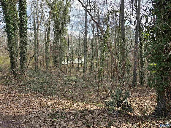 5th image of 130 County Road 426