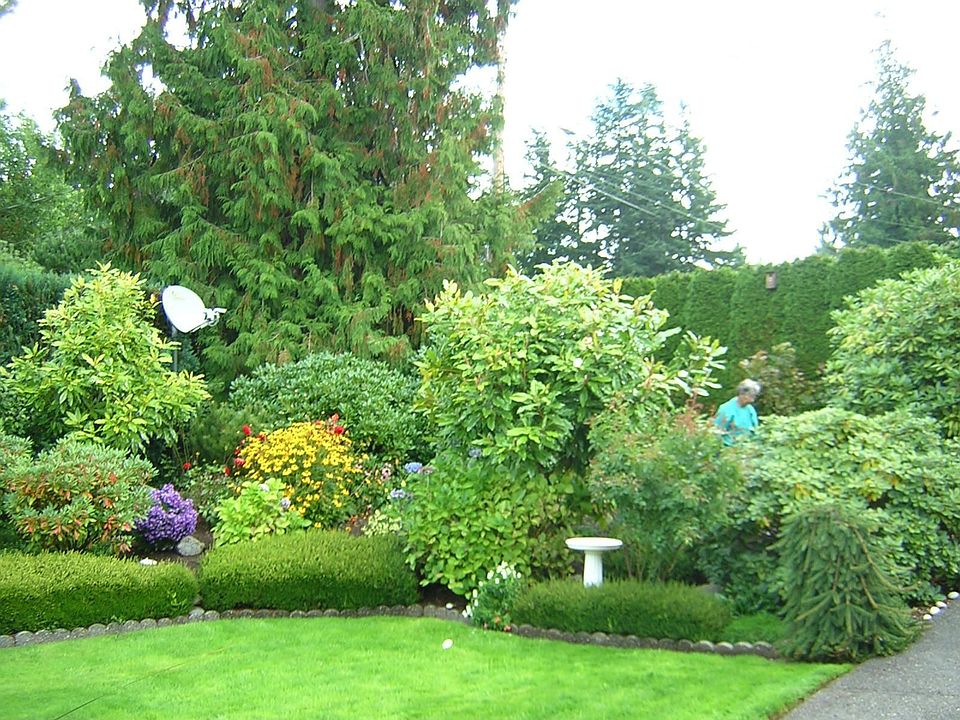 Front yard 2881