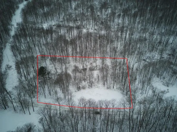 0 Shrawder Mountain Rd, Starrucca, PA 18462