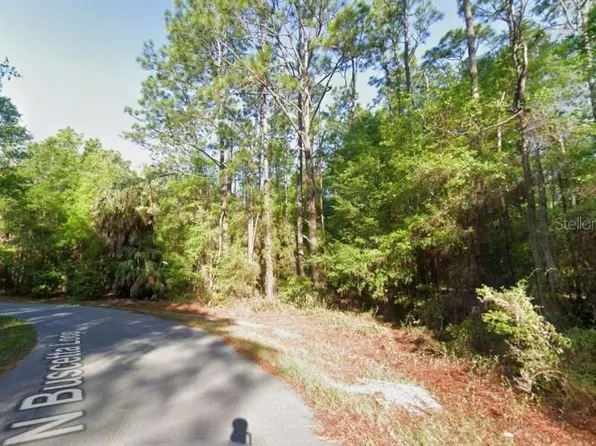8754 N BUSCETTA LOOP, CRYSTAL RIVER, FL 34428