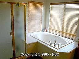 tub & walk-in shower