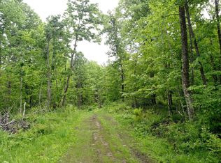 Off Bass Lake Rd, Park Falls, WI 54552