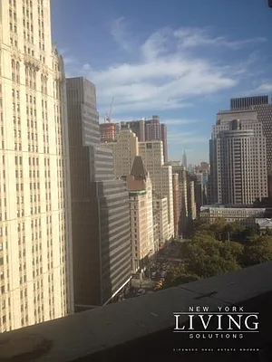 Rented by NY Living Solutions | media 11