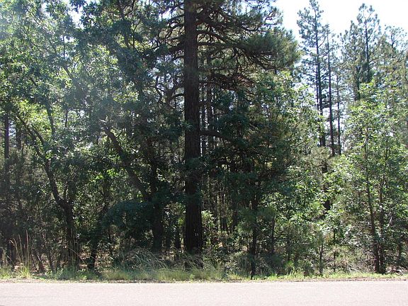 5th image of 2639 Lockwood Dr