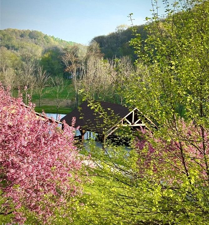 16th image of this home