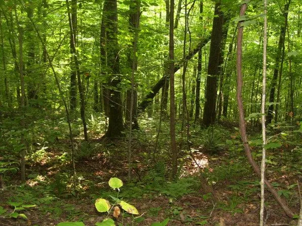 922 Parkstown Ext, Wilder, TN 38589