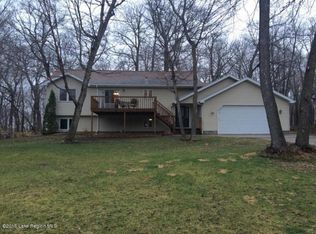 44054 W Lake Olaf Rd, Pelican Rapids, MN 56572