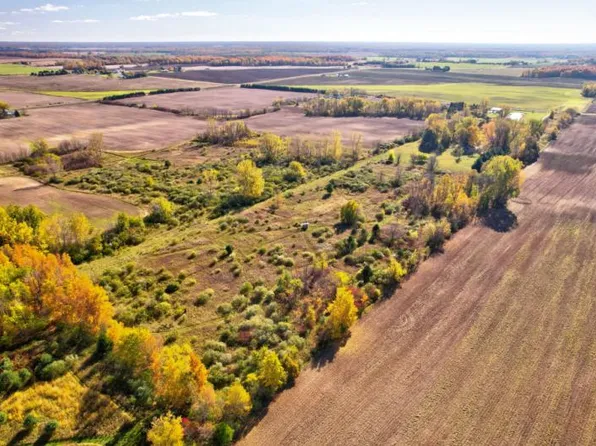 3245 E Elmwood Rd, Caro, MI 48723