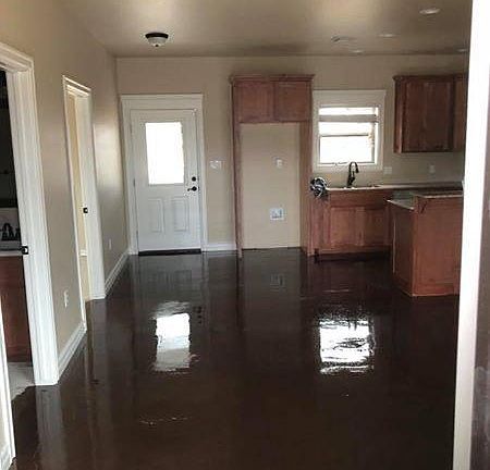 Living and Kitchen