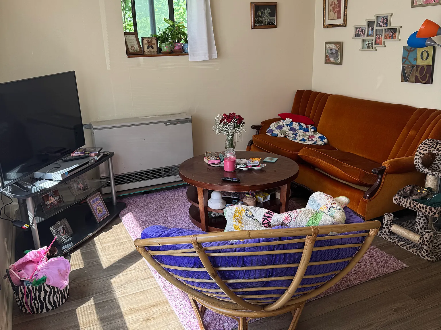 2 bed, $2,100 — Photo 3