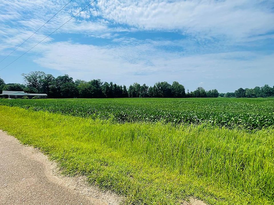 1st image of County Road 428