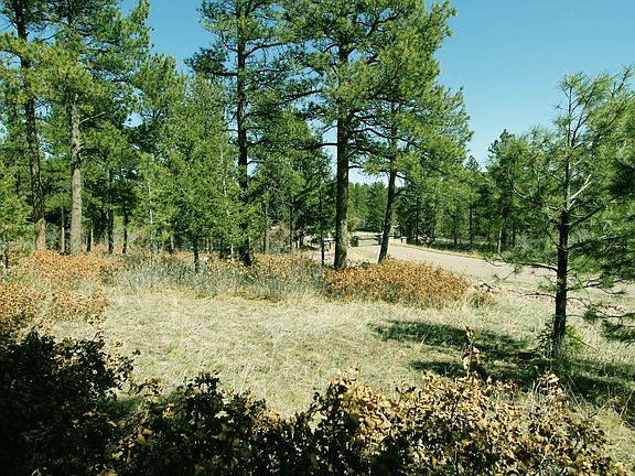 4th image of Sierra Pines Way
