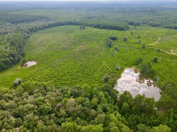 0 Neely Avera Rd, Neely, MS 39461