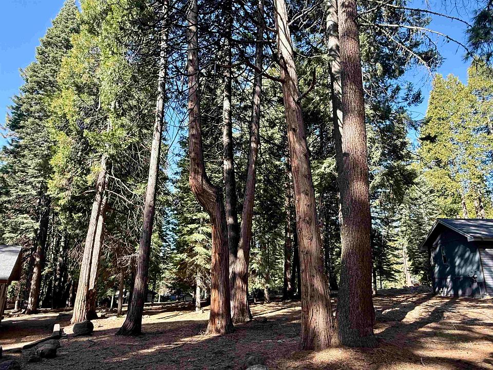 2nd image of 731 Conifer Trl
