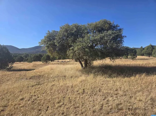 Xx Euphoria, Silver City, NM 88061