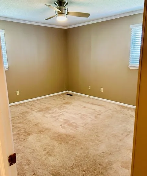 3543 Buffalo Shoals Rd — Photo 16
