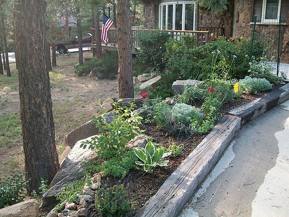 Perennial Garden