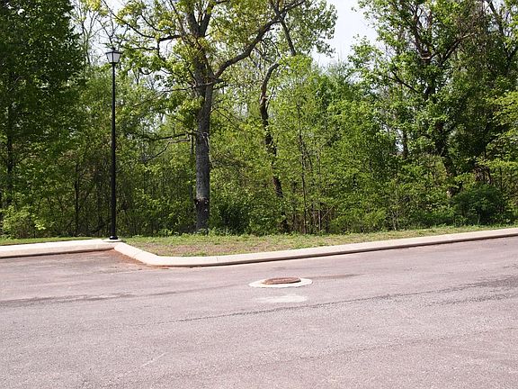 View from back patio