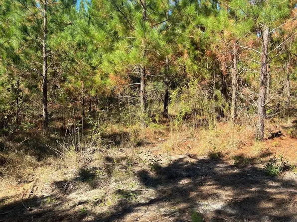 Bff 1b Jc Barefoot Rd #Bff-1b, Patrick, SC 29584