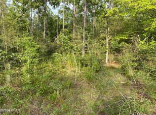 30 Putnam Ave, Alford, FL 32420