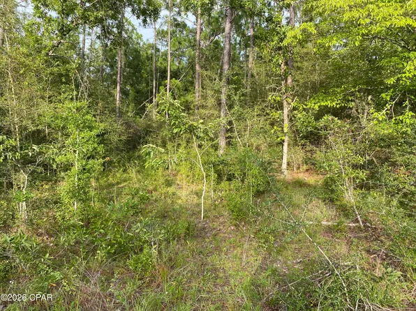 30 Putnam Ave, Alford, FL 32420