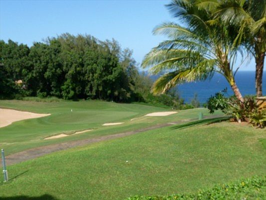 4th image of 3942 Aloalii Dr Lot 52