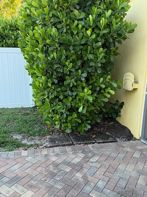Solana Oaks First Floor Private Entry Condo — Photo 3