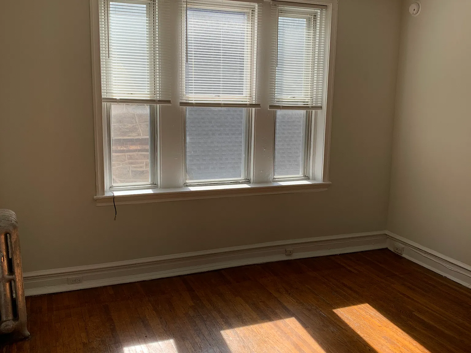 Studio, $900 — Photo 2