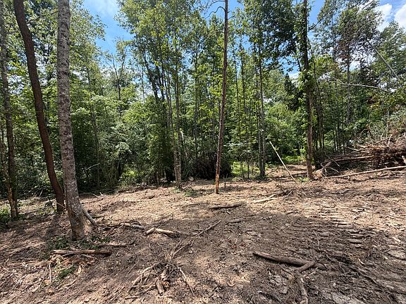 3rd image of 101010 Gibson Ln