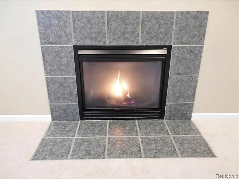 29377 Whistler Dr — Photo 11