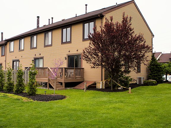 Exterior Back/Trees