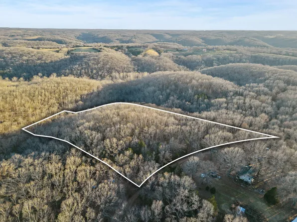 Tbd Sassafras Lane, Galena, MO 65656