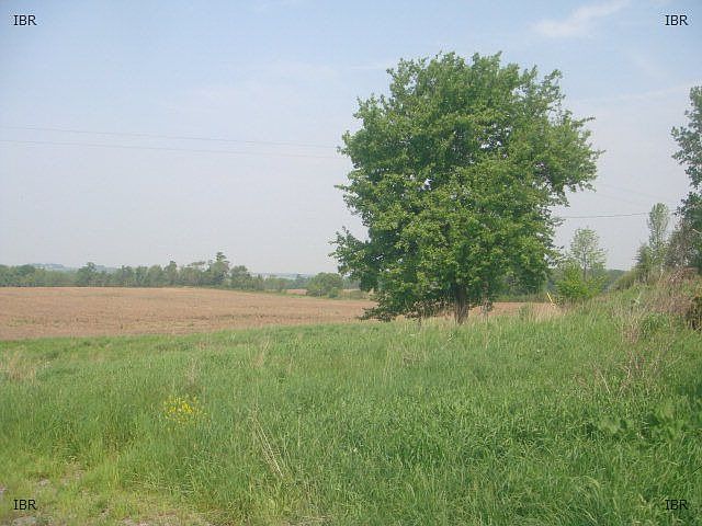 2nd image of 1239 Stewarts Corners Rd