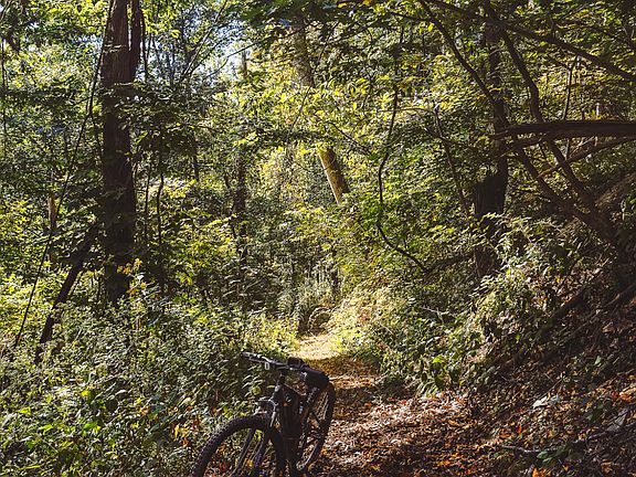 48th image of Georges Run Rd