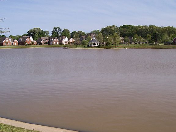VIEW FROM FRONT YARD