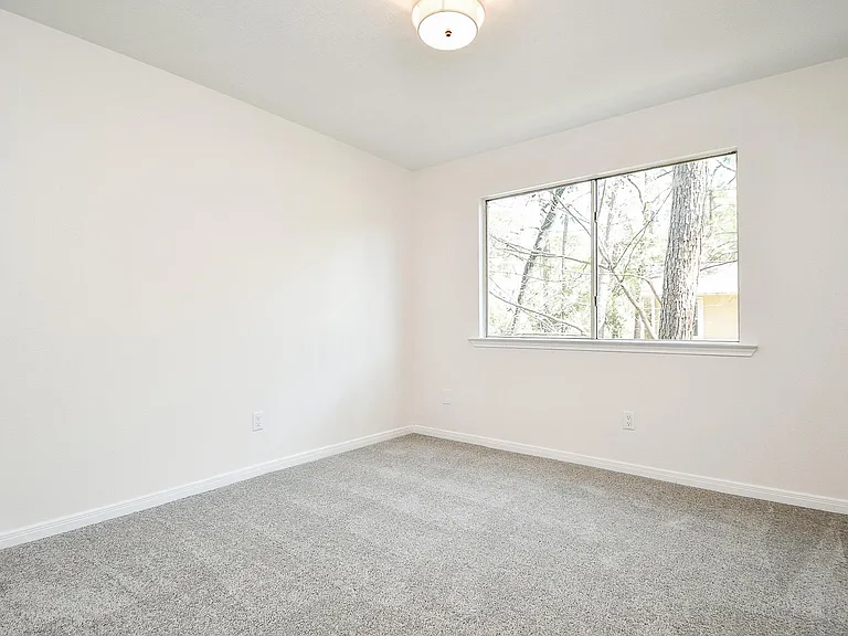 21 Edgewood Forest Ct — Photo 24